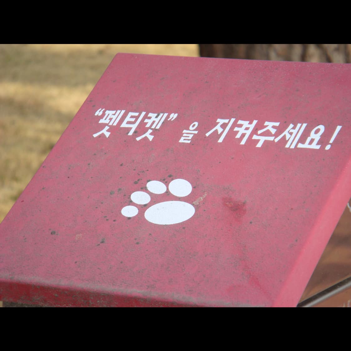 작례⭕️ 소니 사이버샷 DSC-T100 상품이미지6