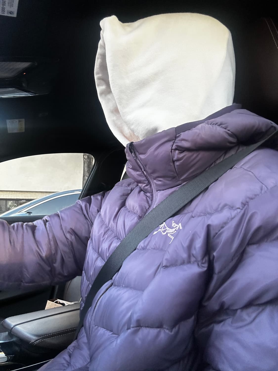 Arcteryx Cerium LT Hoody 상품이미지10