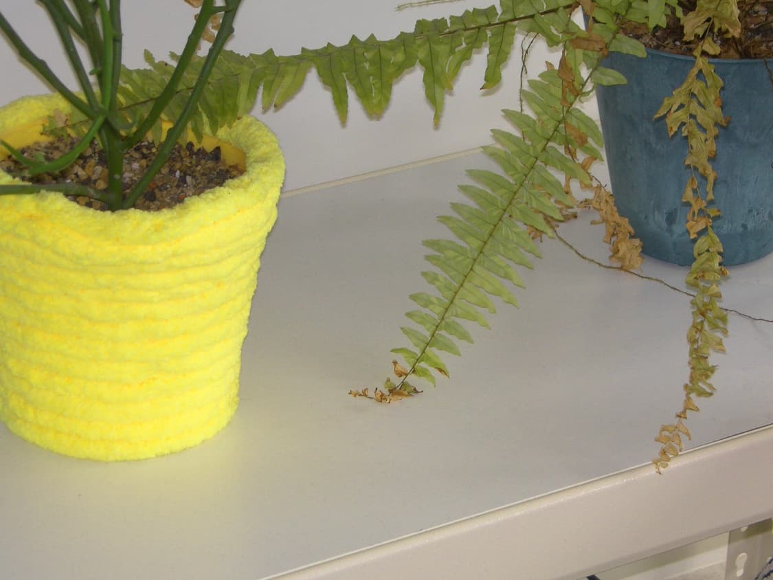 작례o/ 무조건 소장/ 주인장 최애기종/ jvc x900 빈티지 캠코더 상품이미지4