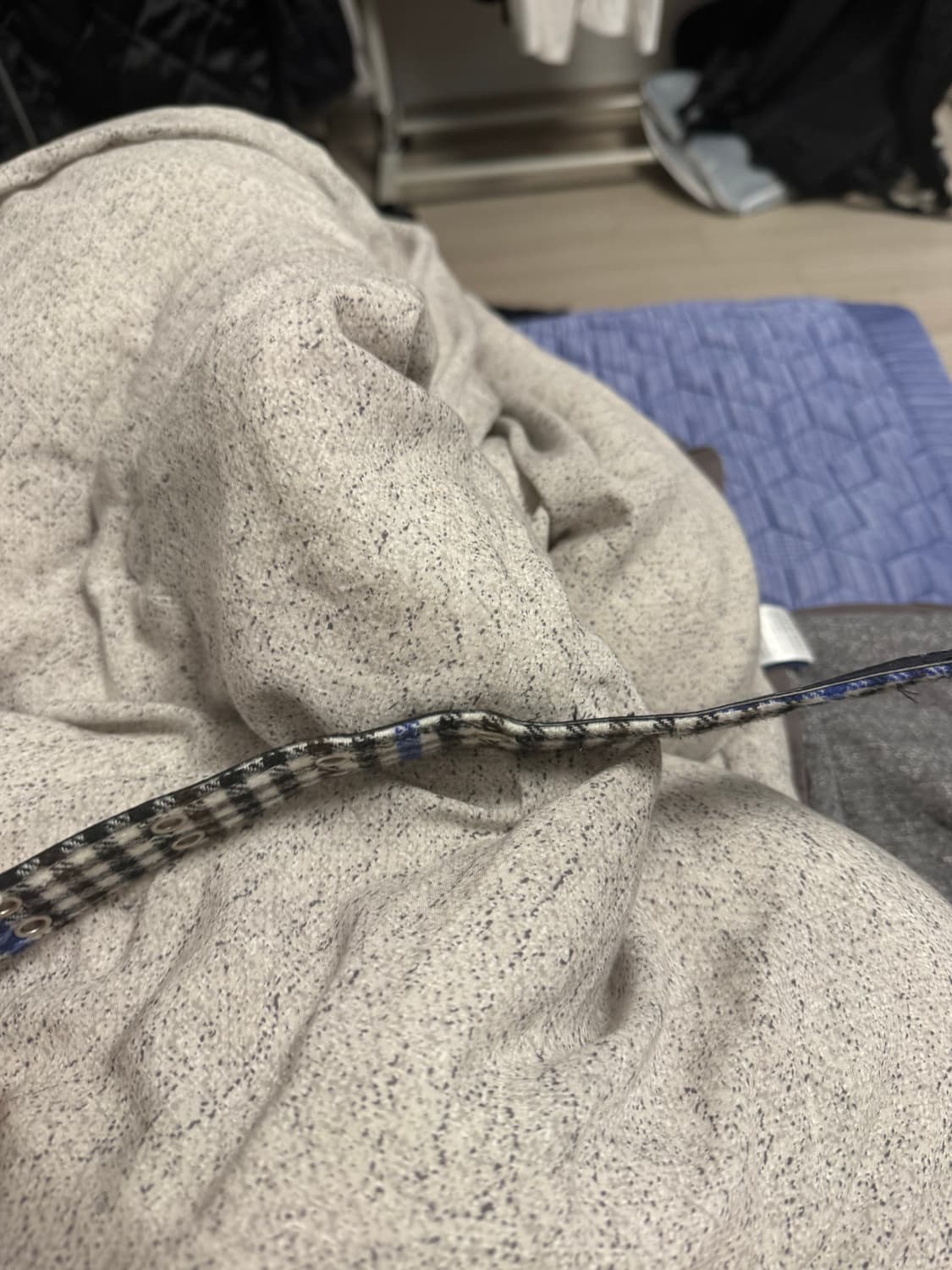 AFB FANNEL CHECK BELT (BLUE) 상품이미지4