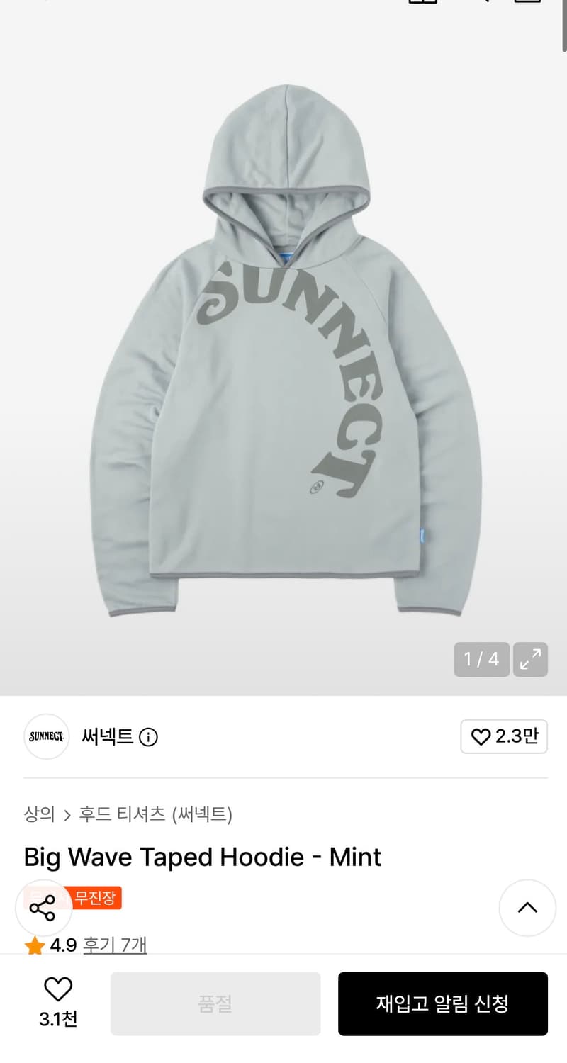 써넥트 Big Wave Taped Hoodie - Mint 상품이미지1