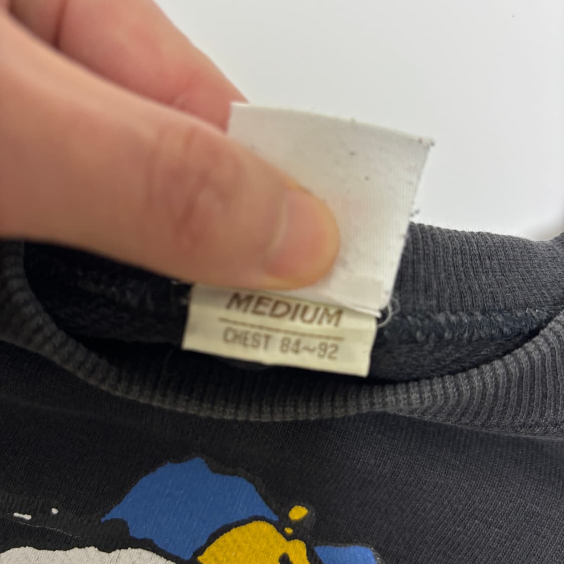 피너츠 스누피 & 우드스탁 빈티지 스웨트셔츠 상품이미지3