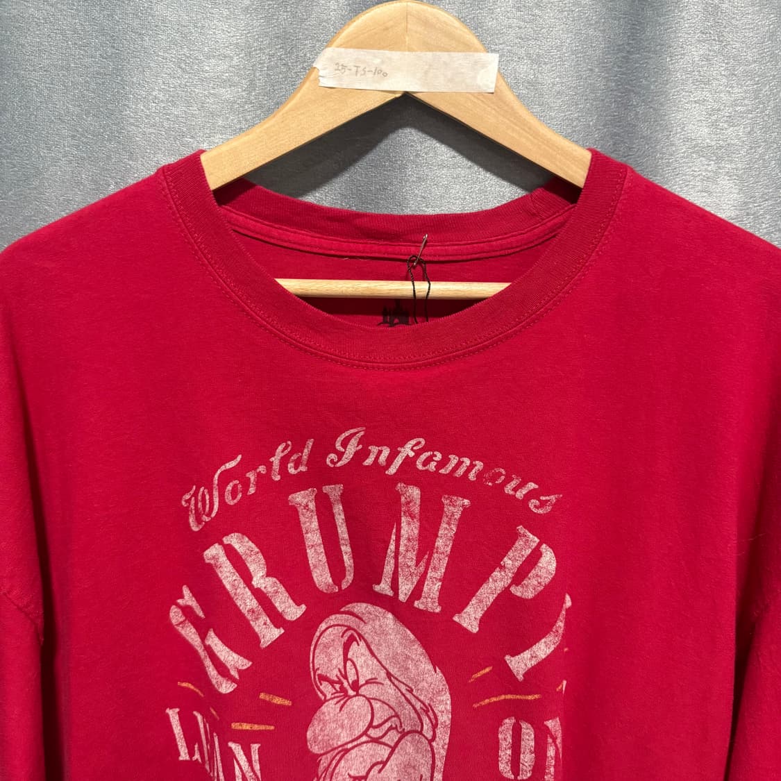 25-TS-100 상품이미지2