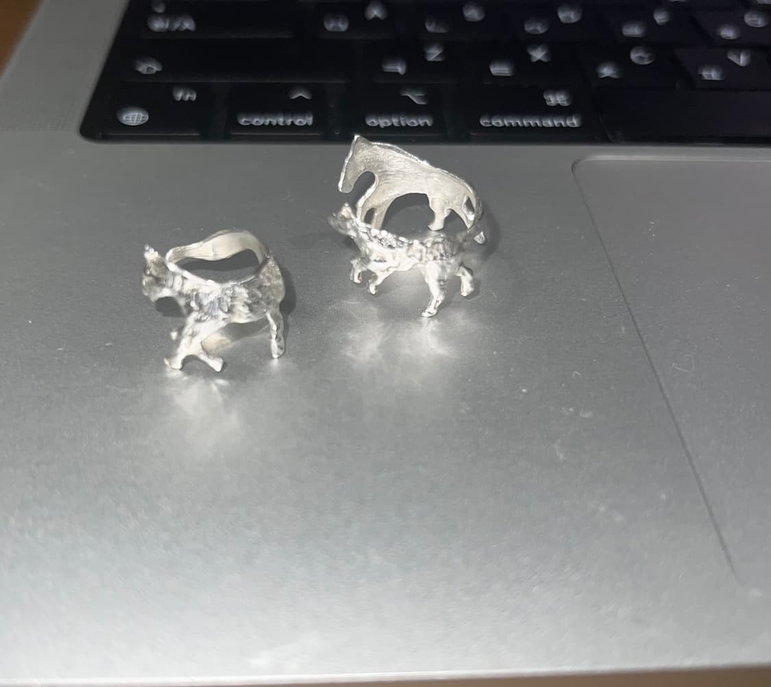 Horse ring Set 2개 scattering 스캐터링 반지 상품이미지3