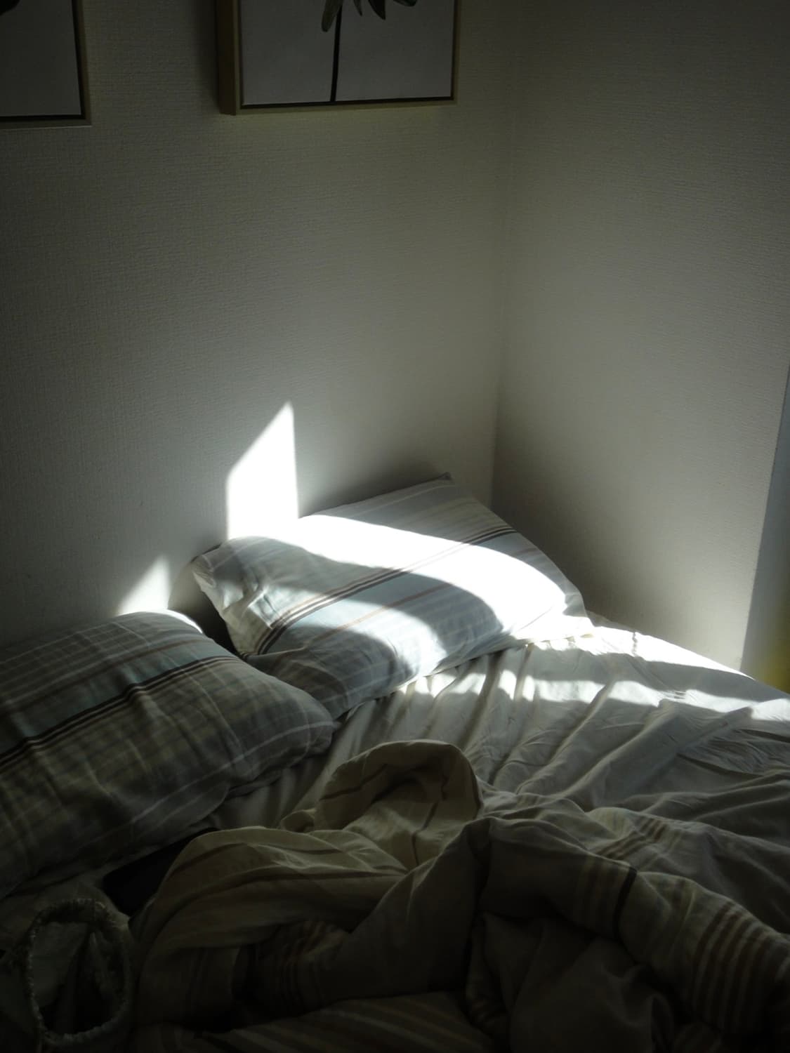 카시오 엑슬림 EX-ZR100 빈티지디카 디지털카메라 상품이미지3