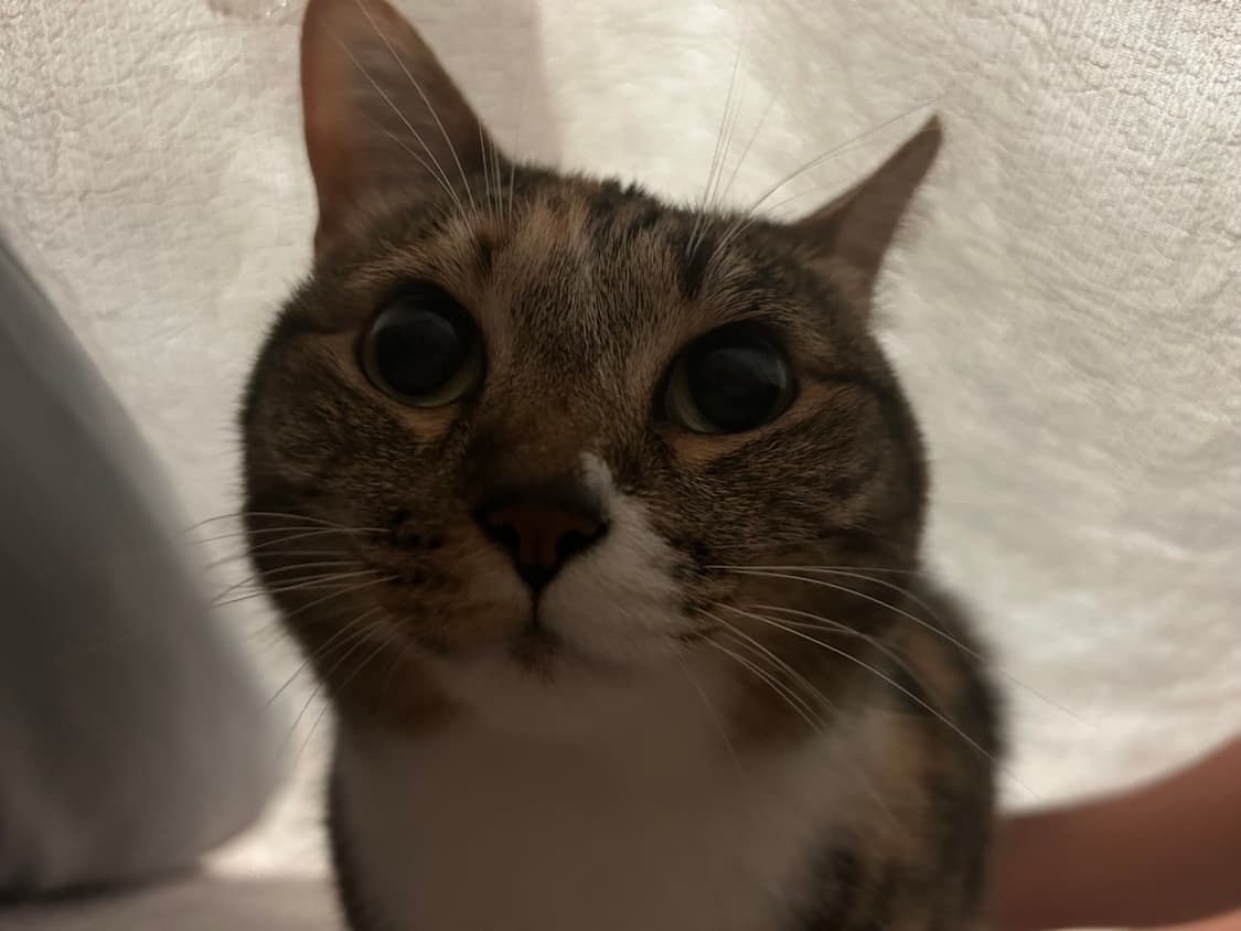 액자 결제창 상품이미지1