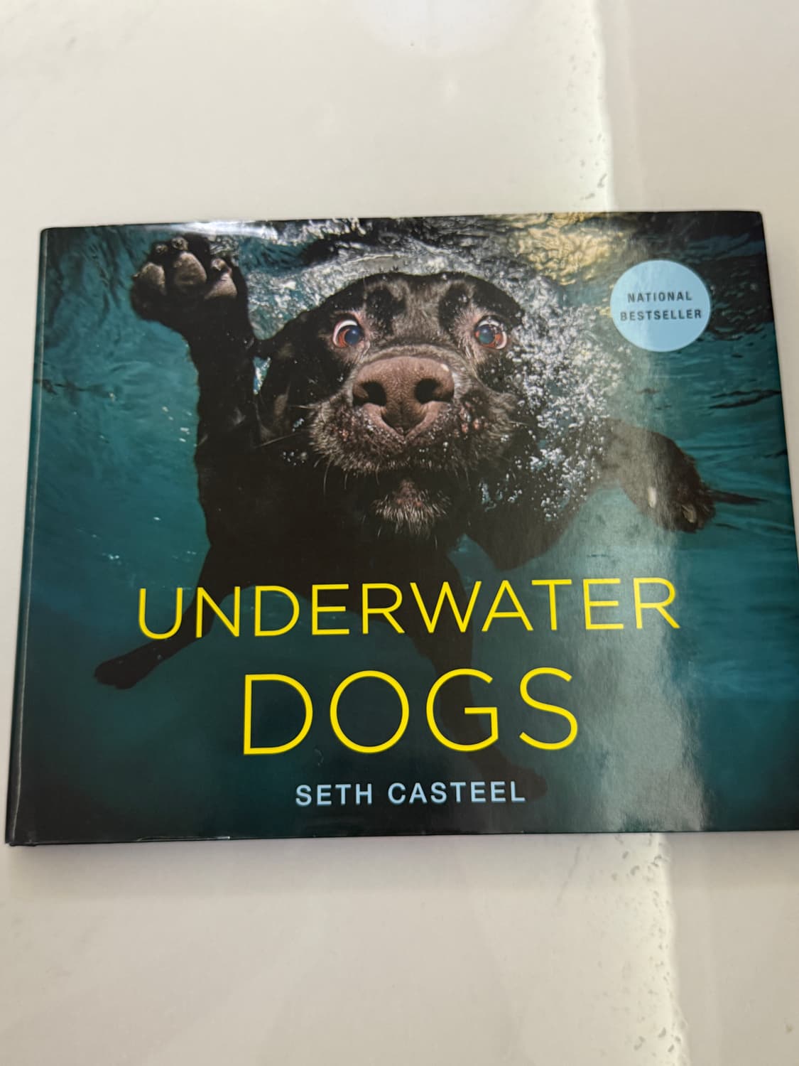 Seth Casteel이 사진을 찍고 저술한 'Underwater Dog 상품이미지1