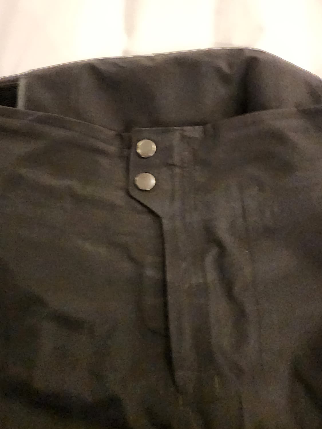 파타고니아 맨즈 트리올레 고어텍스 팬츠 L 상품이미지3