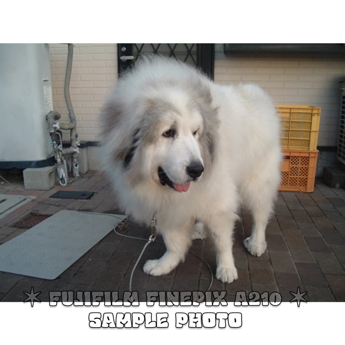 후지필름 파인픽스 A210 빈티지 컴팩트 디카 실버 상품이미지8