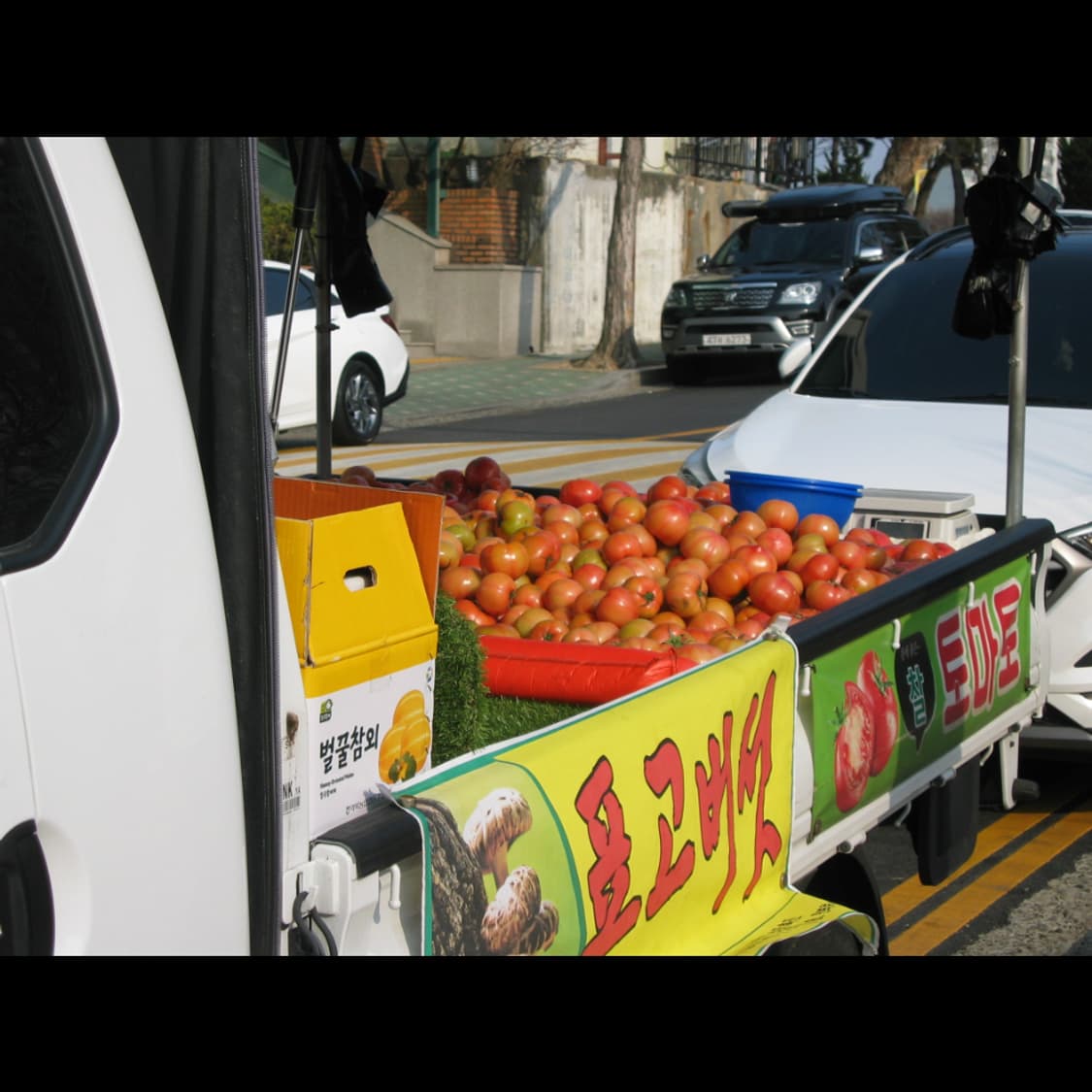 작례⭕️ 캐논 파워샷 S45 상품이미지7