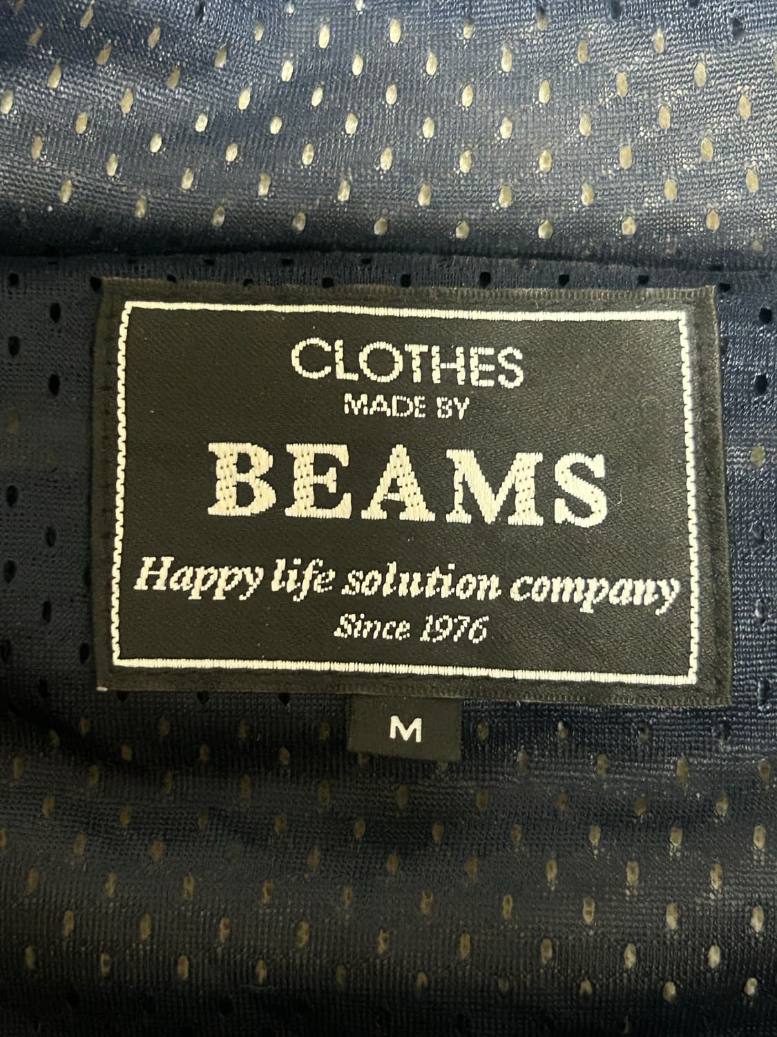 Beams  빔즈 스트라이프 플리스 상품이미지2