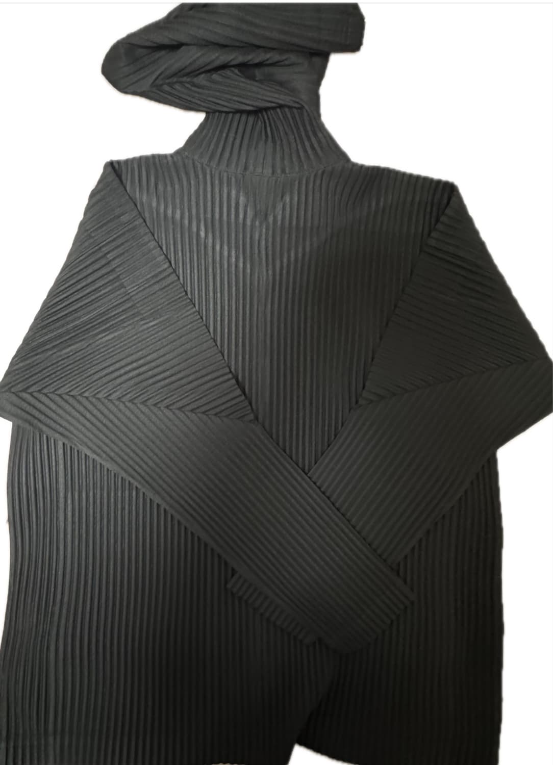 옴므플리세 후드집업 2사이즈 상품이미지2