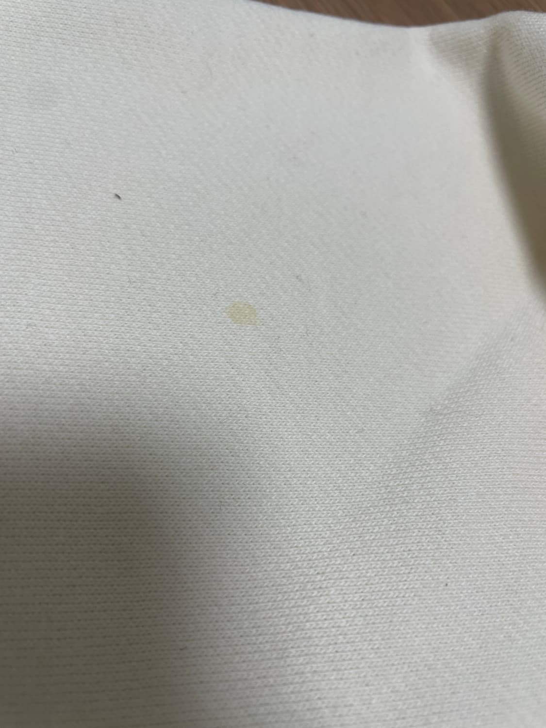 팔라스 빗 그리피 트라이퍼그 후드 소프트 화이트 - 24SS 상품이미지3