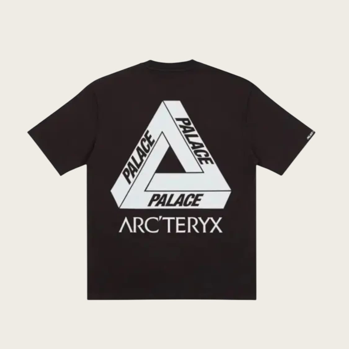 L/ 아크테릭스 x 팔라스 T-shirts Black 상품이미지1