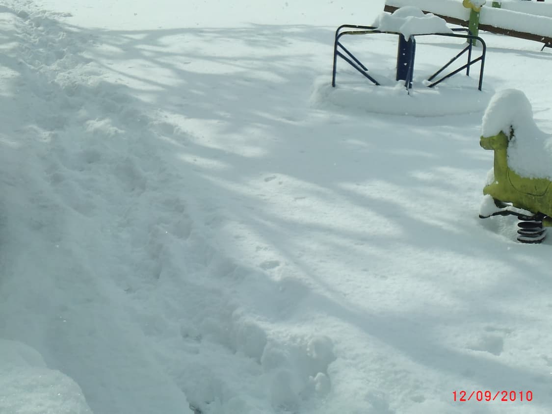 독일 아그파 AgfaPhoto Eclipse Explorer 상품이미지6