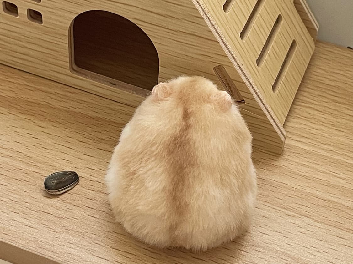 햄스터 실사 인형 (개귀여움) 상품이미지2