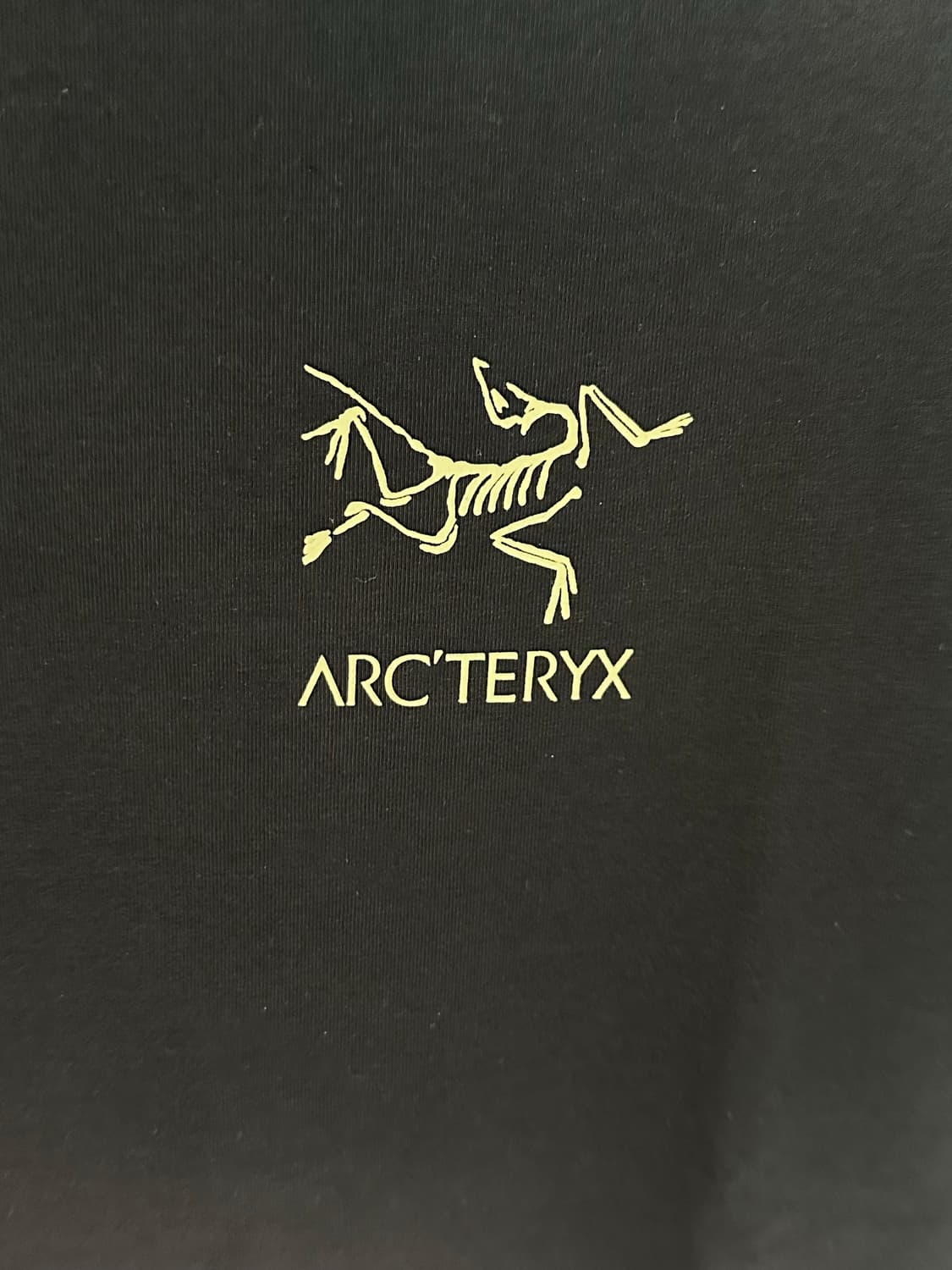 아크테릭스 시스템a 코팔 ss 버드 티셔츠 상품이미지4