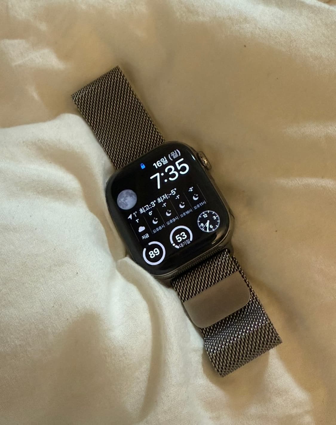 애플워치10 42mm 내추럴티타늄 셀룰러 + 밀레니즈 루프 상품이미지3