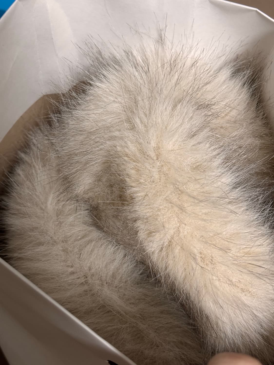 오피쉬 플러피 믹스 퍼 자켓 베이지 (당일배송) 상품이미지2