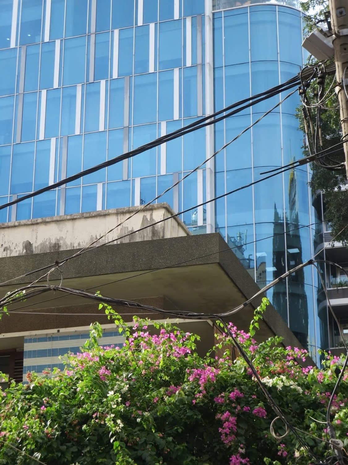 준민트급 ✨) Canon IXY 600F IXUS125HS / 작례O 상품이미지6