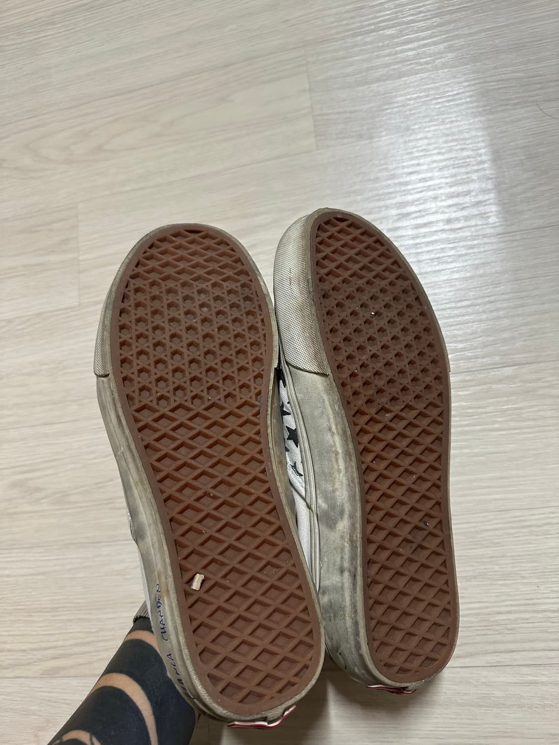반스 비앙카 샹동  상품이미지5