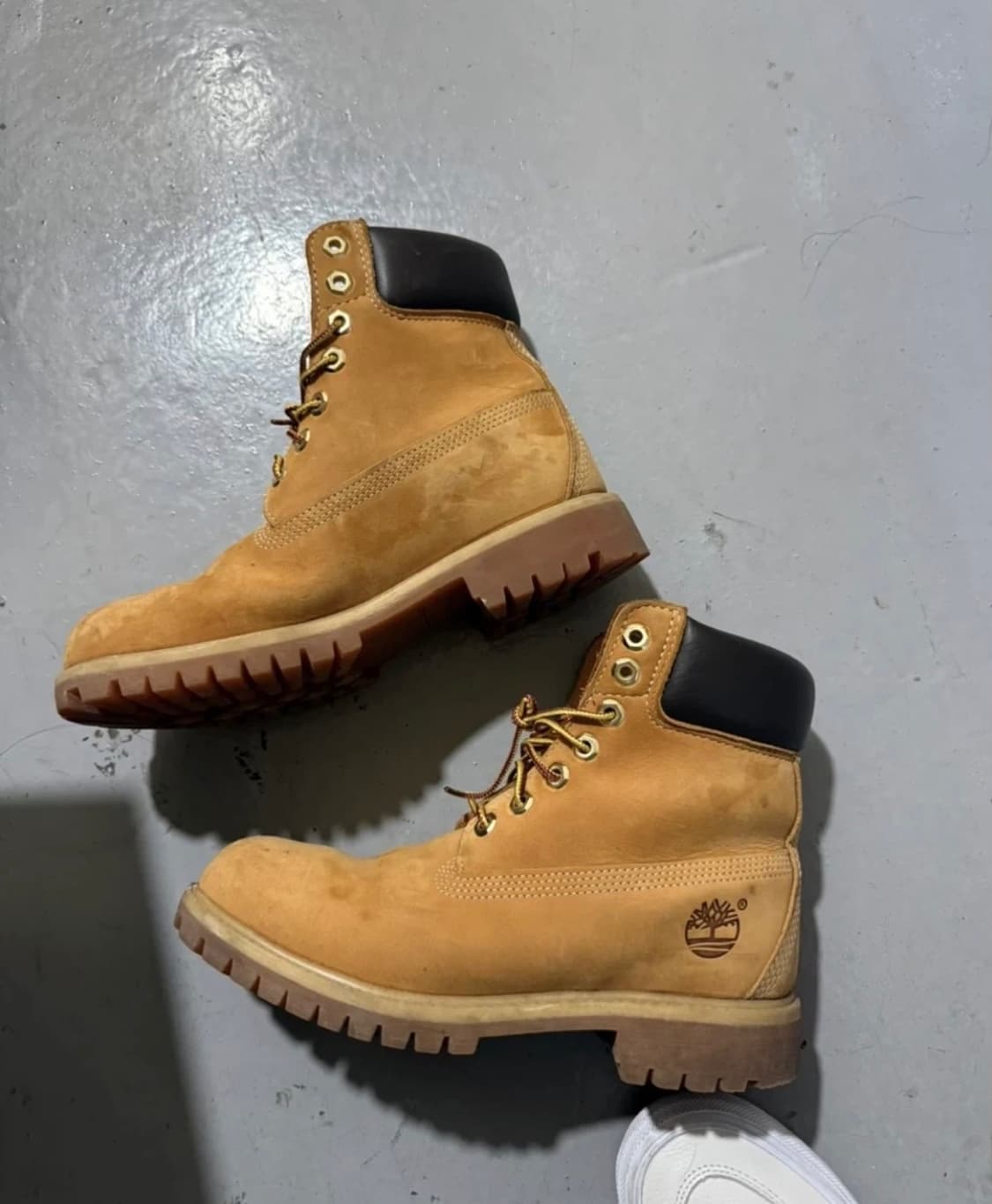 팀버랜드 6인치 245 상품이미지1