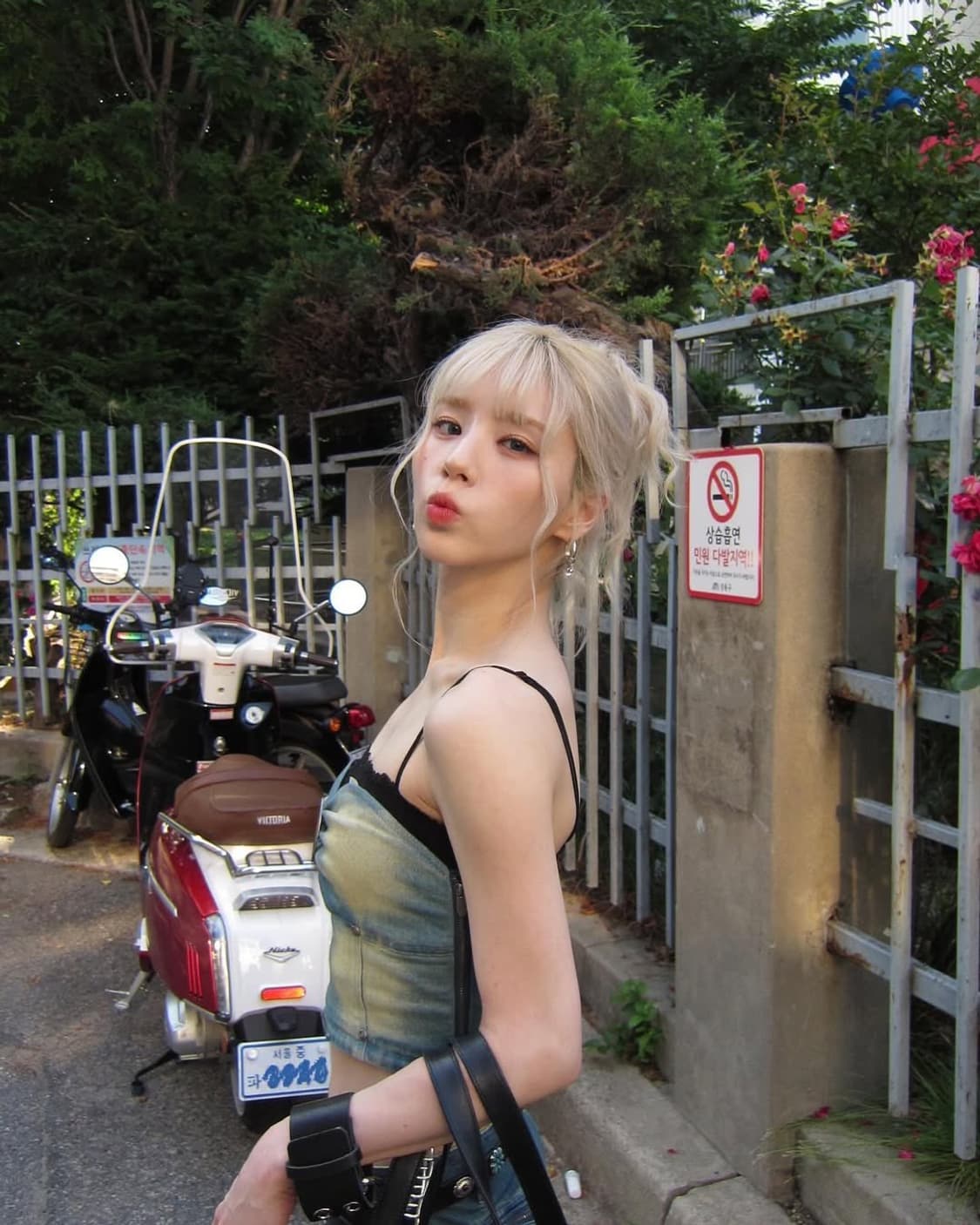 캐논 익서스 310 상품이미지5