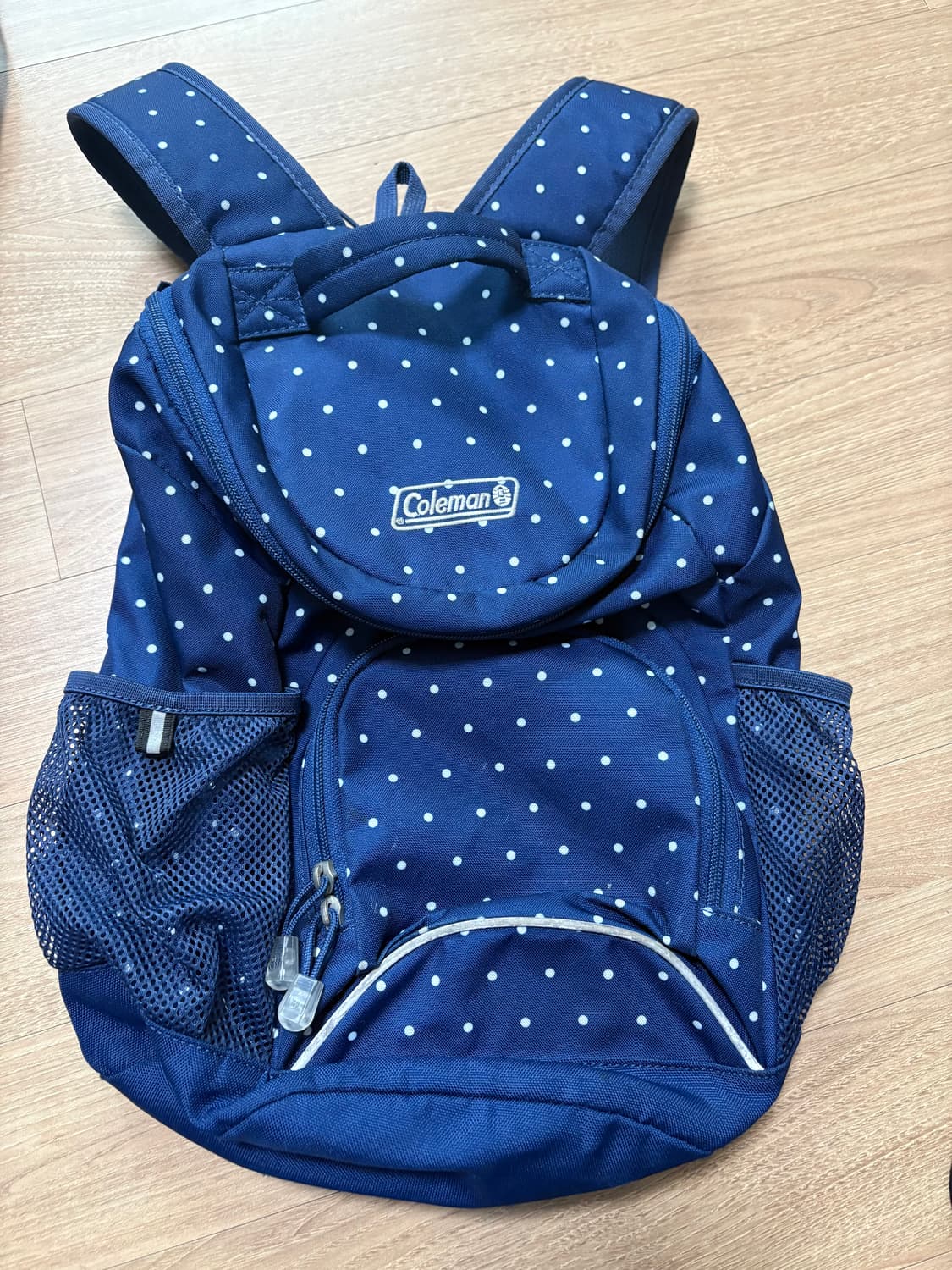 도트백팩 상품이미지1