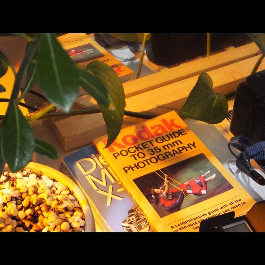 작례⭕️ 후지 파인픽스 Z100EXR  루비 핑크 글로시💗 빈티지 디카 상품이미지9