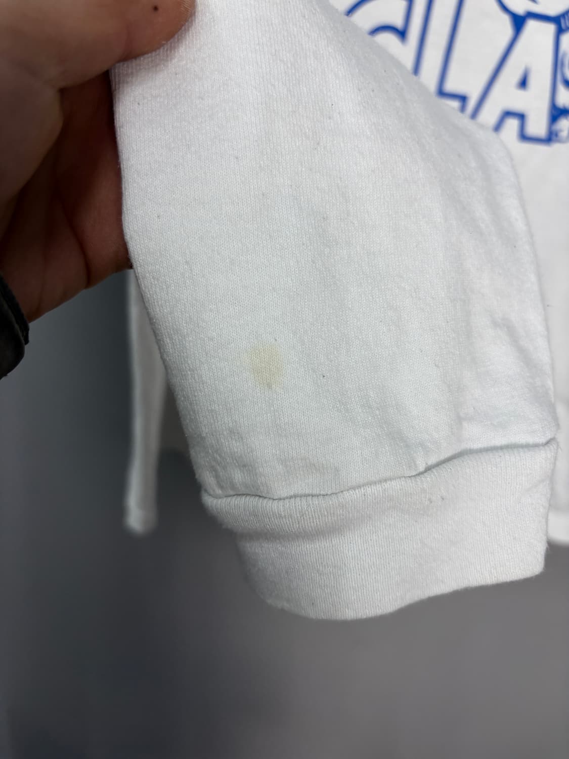 챔피온 USA 빅로고 롱슬리브 A3609 상품이미지7