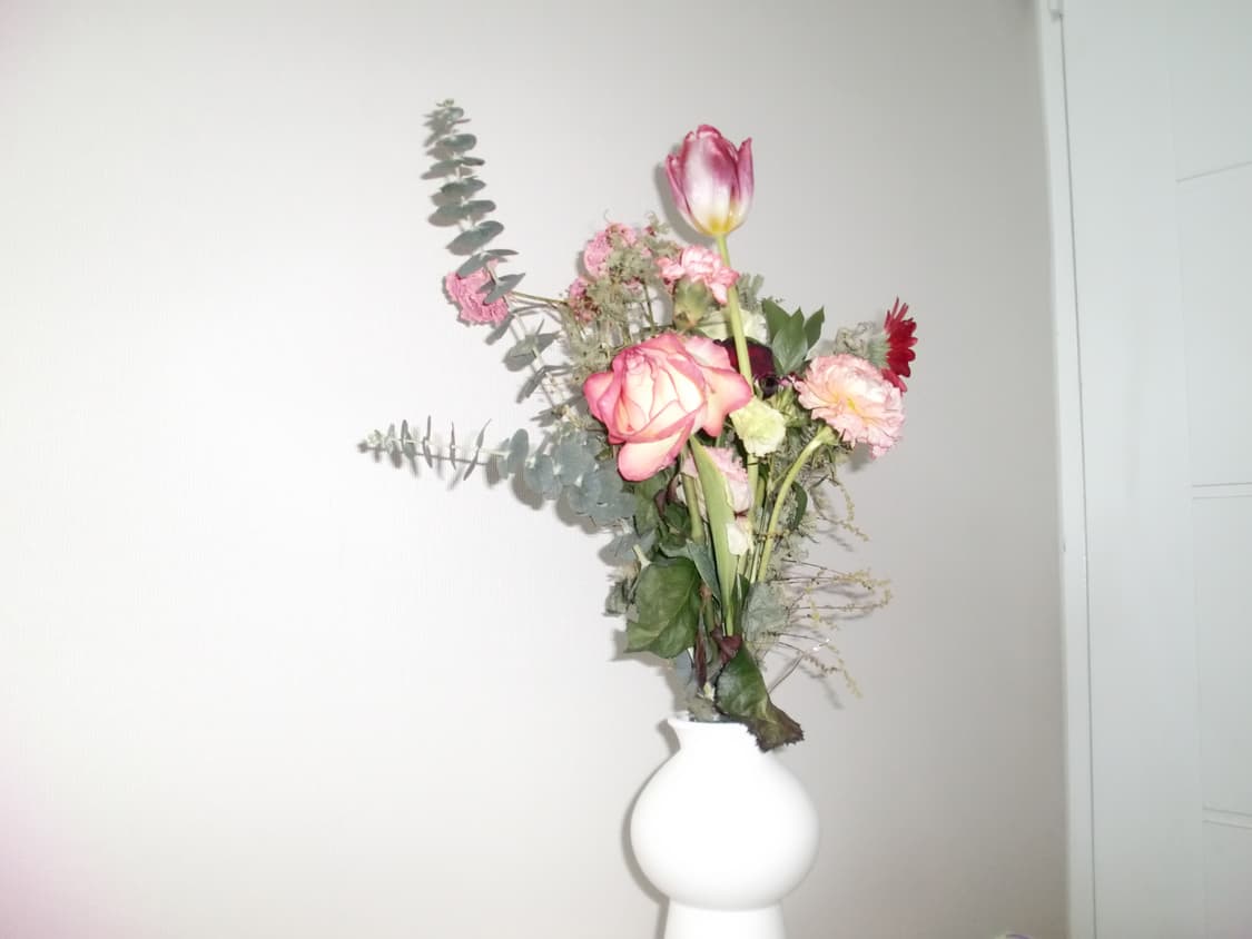 카시오 엑슬림 EX Z270 빈티지 디카 상품이미지4