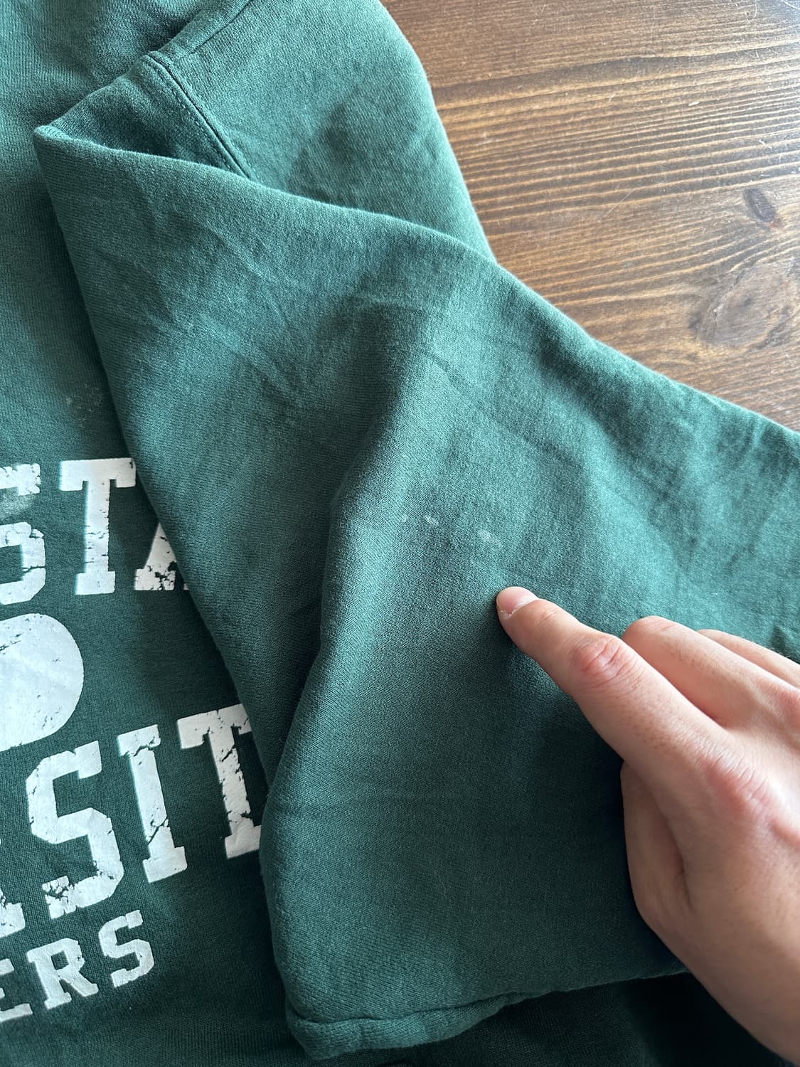 챔피온 Champion Authentic 후드 상품이미지6