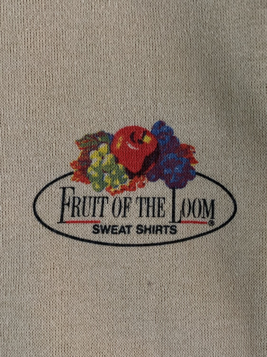 70s 프룻오브더룸 프린팅 스웻셔츠 상품이미지3