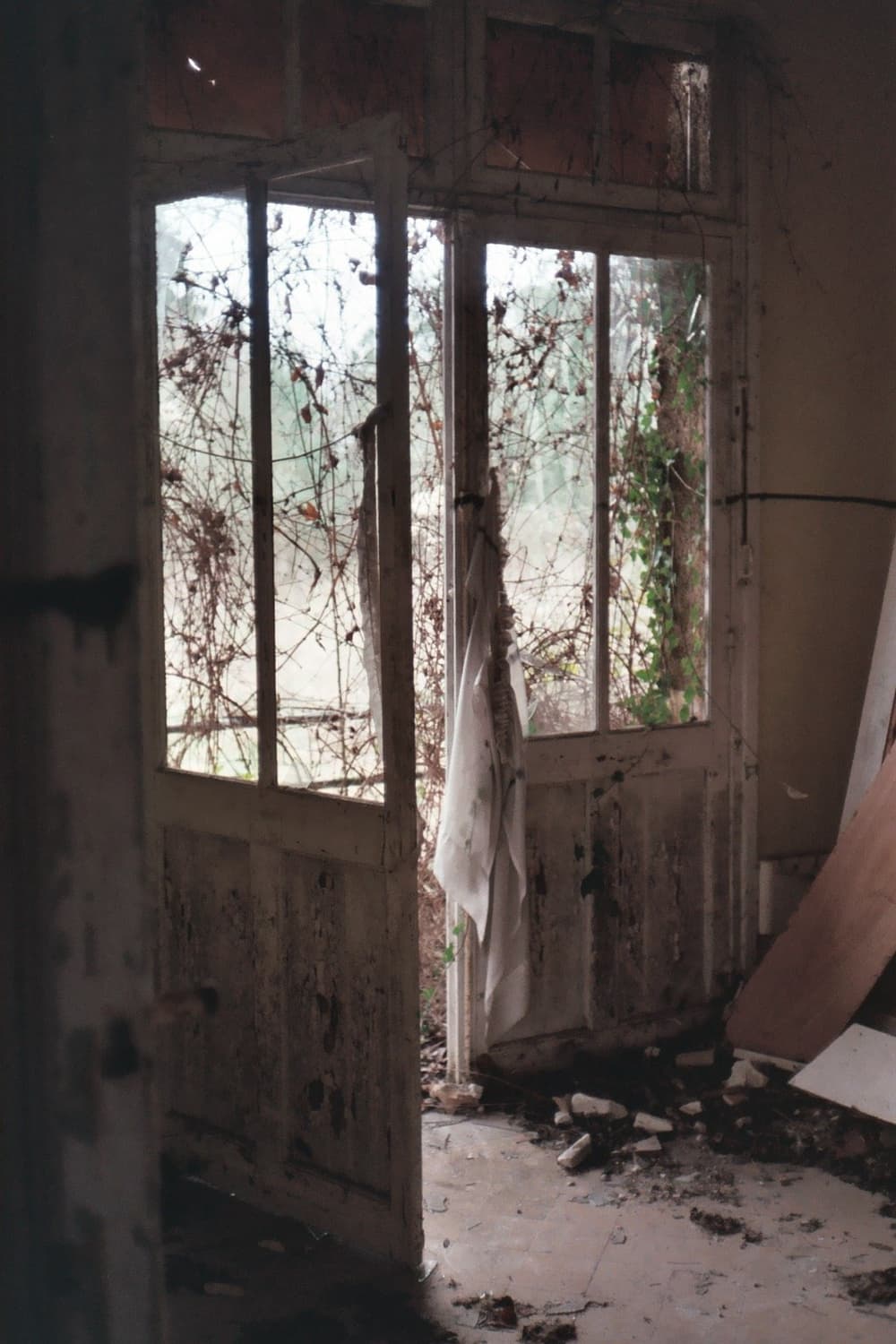 작례O 코니카 ee 매틱 + 코니시로쿠 헥사논 40mm 2.8 필름카메라 상품이미지4