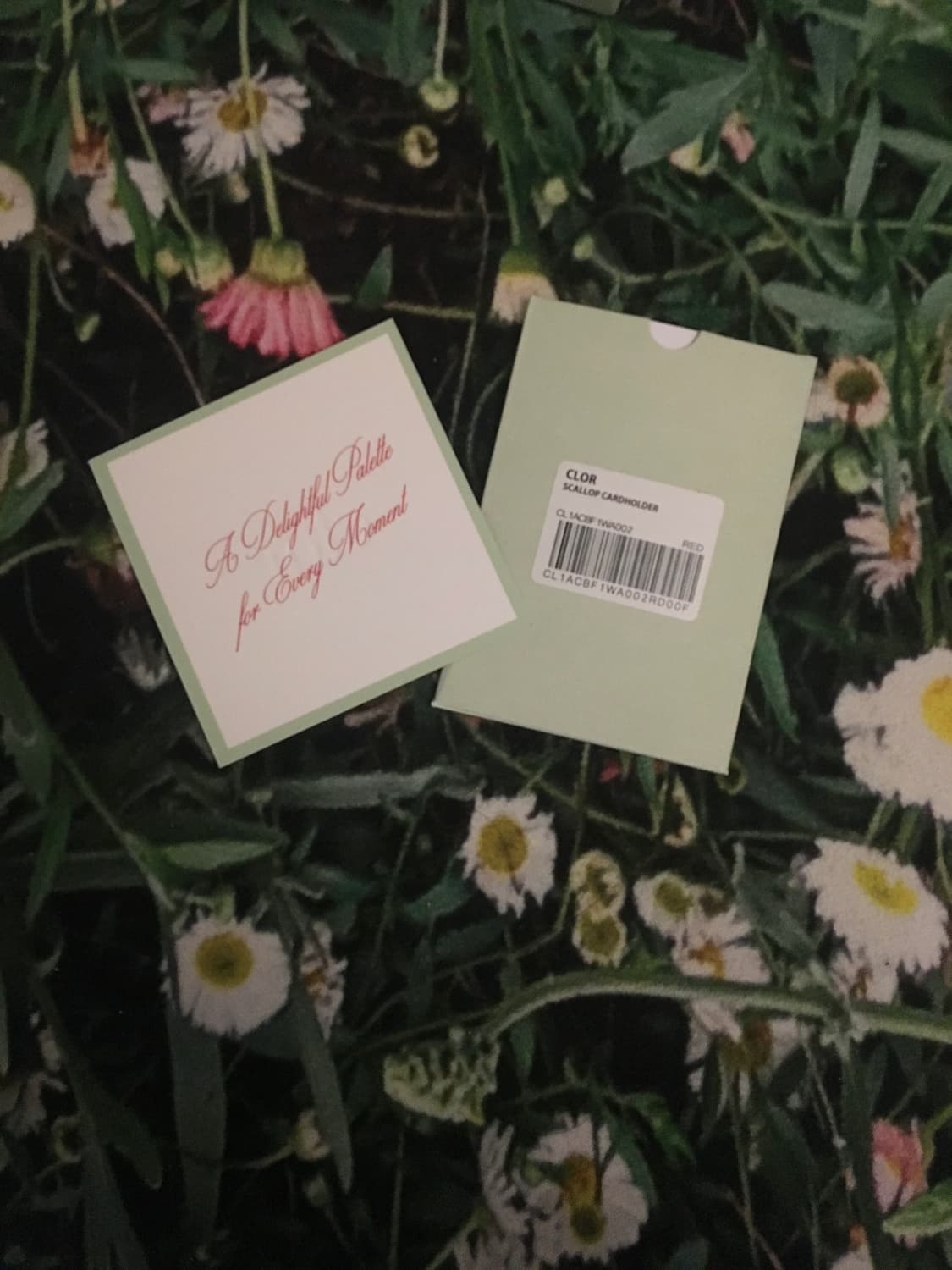 Clor 카드지갑 레드 상품이미지3