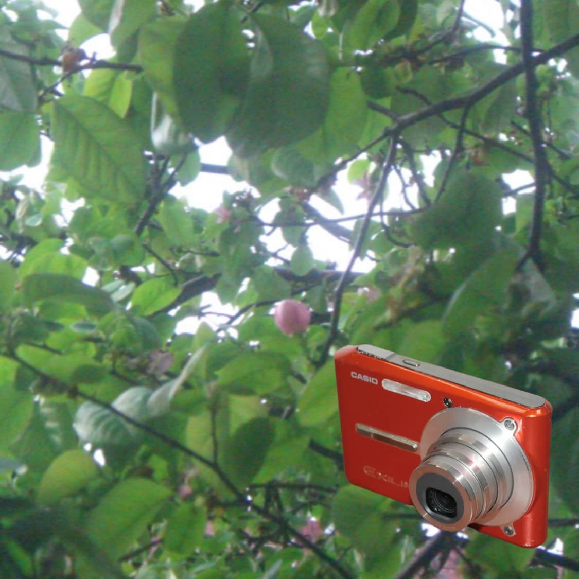 Casio EX-S500(✨A급/🎁풀패키지) 상품이미지6