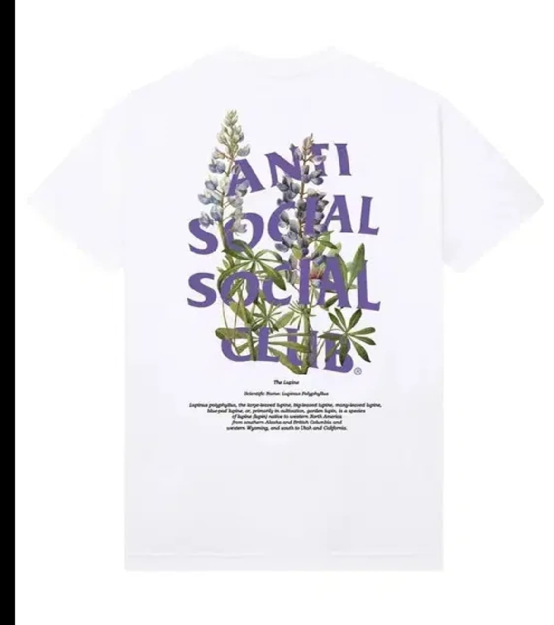 assc 안티소셜소셜클럽 루핀 lupine 티셔츠 L 상품이미지2