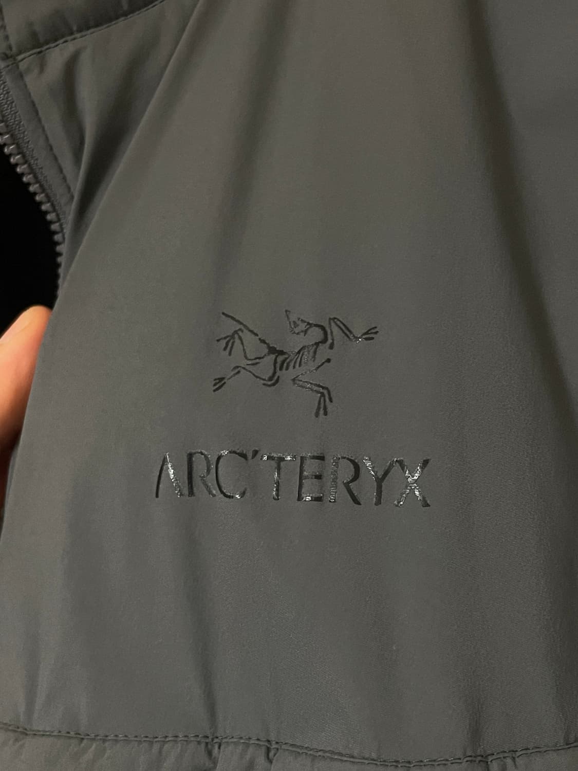 아크테릭스 리프 콜드 울프 L 상품이미지3