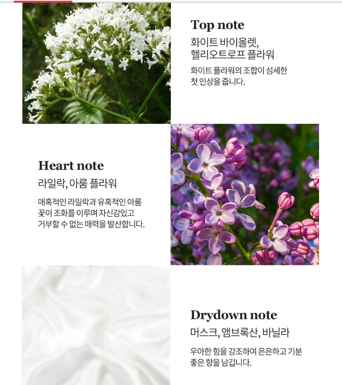 트루사르디 마이네임 100ml 상품이미지3