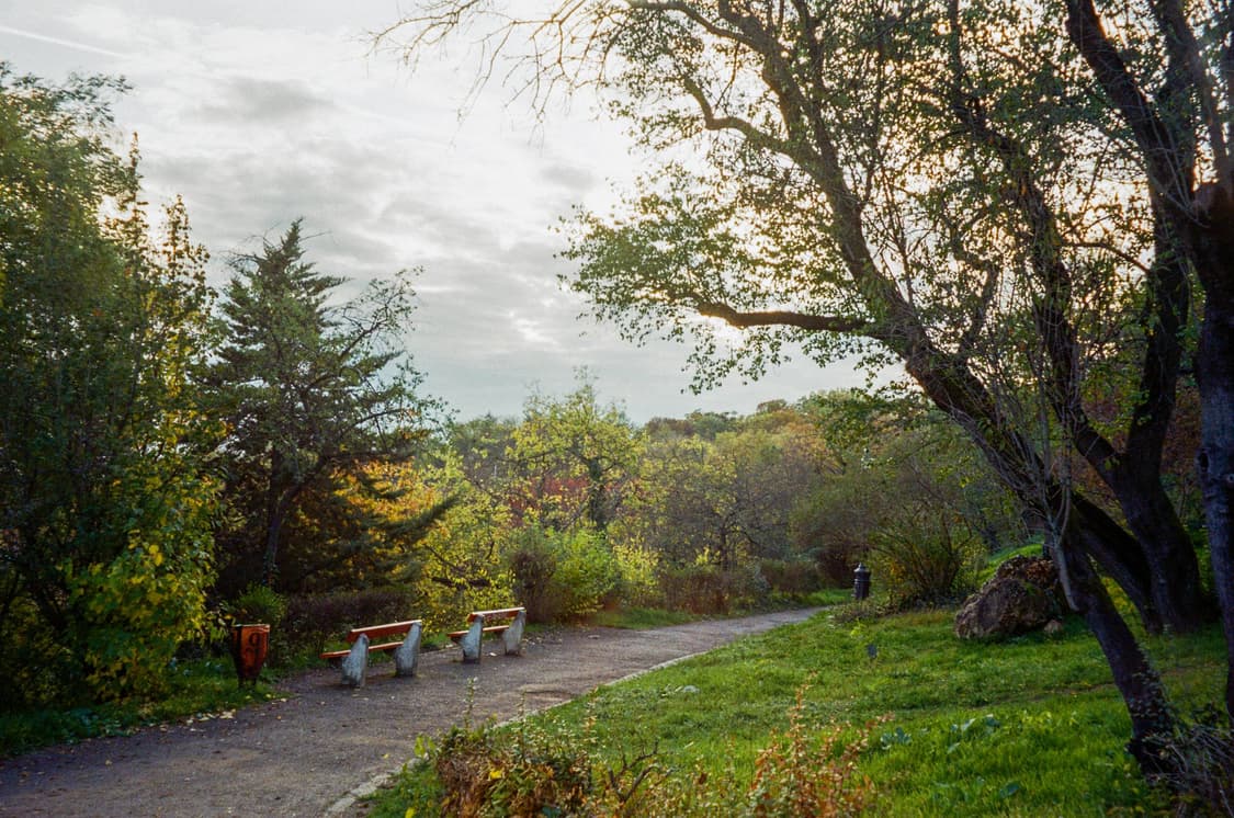 작례O 클래식 명기 니콘 fe10+nikkor 35-70 필름카메라 빈티 상품이미지3