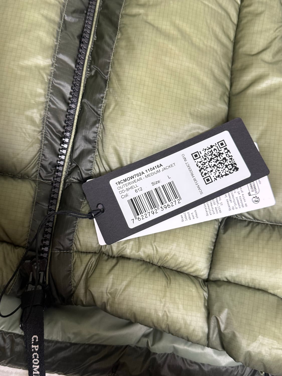 Cp컴퍼니 dd쉘 25fw 그린바나나 L 상품이미지3