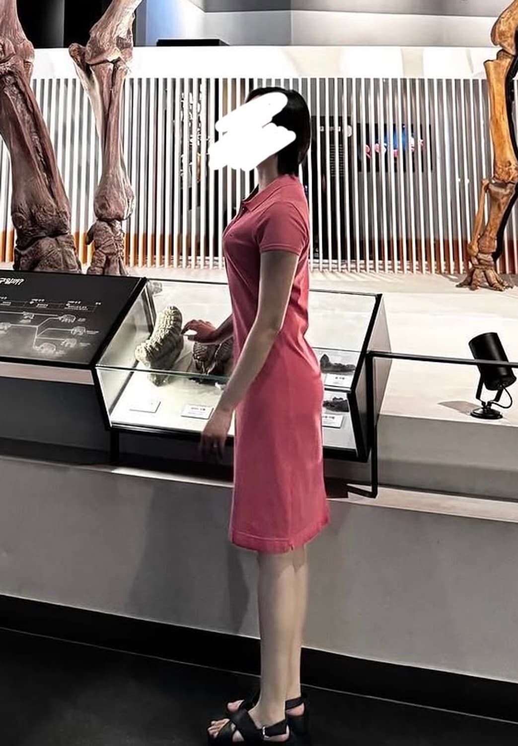 라코스테 카라 원피스 상품이미지9