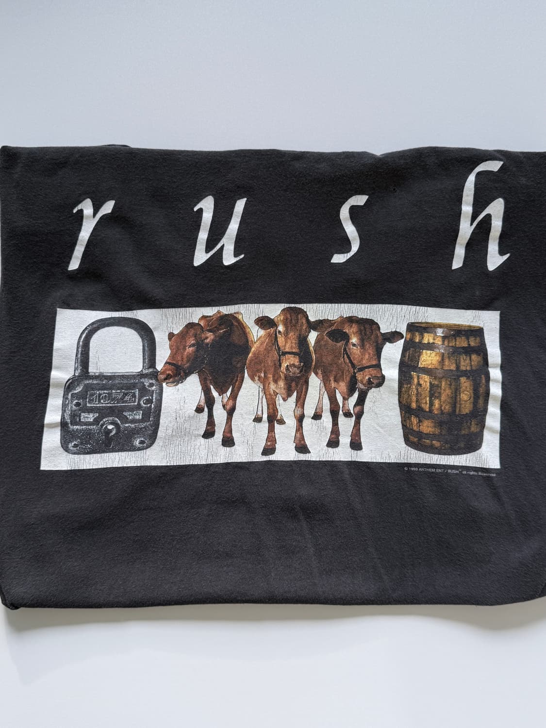 (XL) 1993 RUSH Counterparts band tees 상품이미지3
