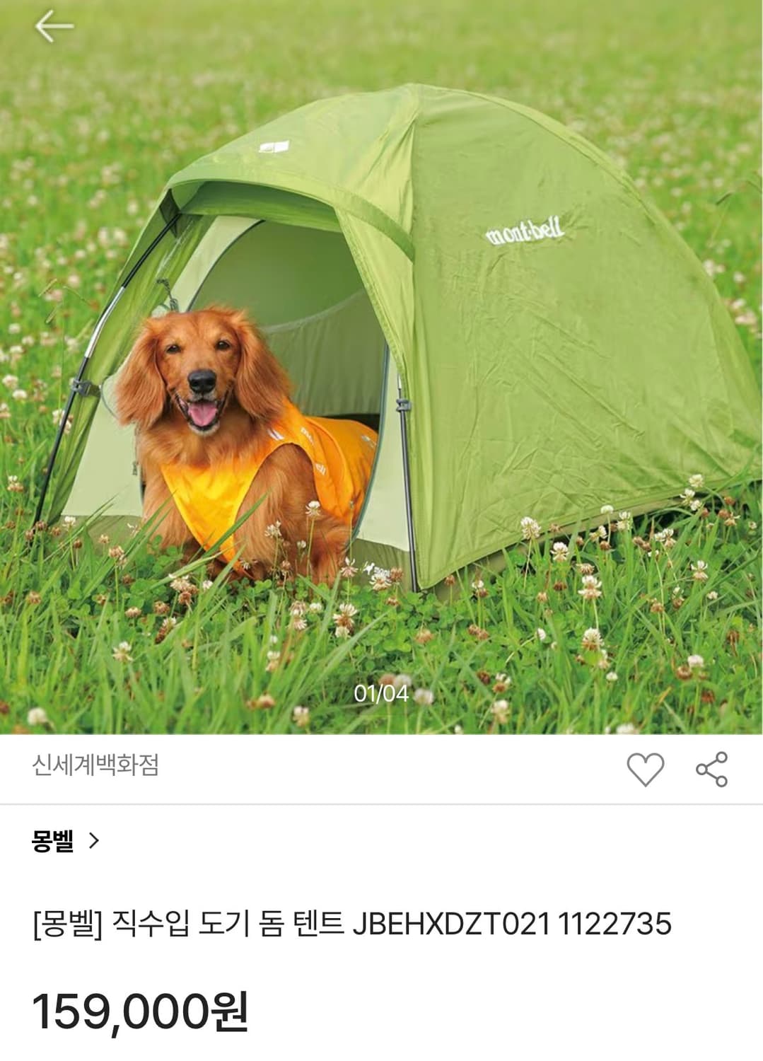 몽벨 도기돔 상품이미지3