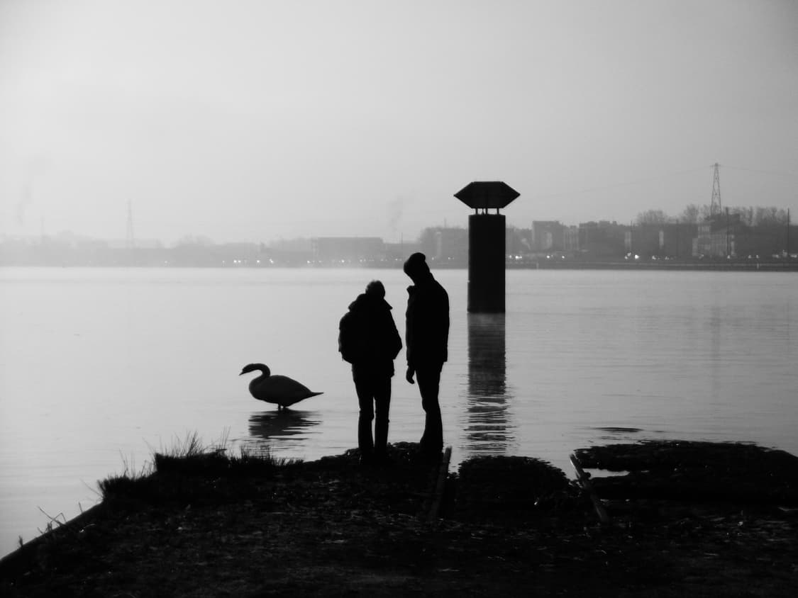 플립디카 💥 파나소닉 루믹스 sz10 상품이미지7