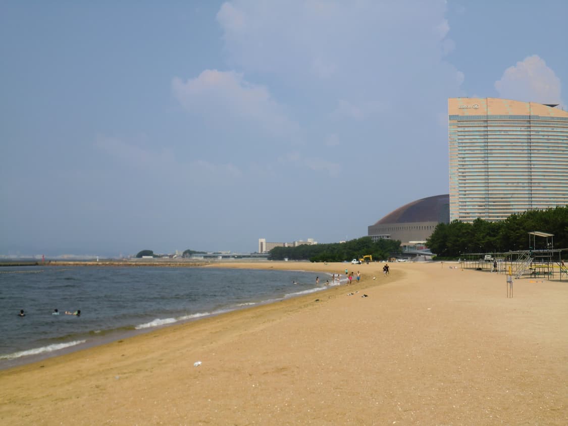 카시오 엑슬림 z-550 (작례o) 상품이미지2