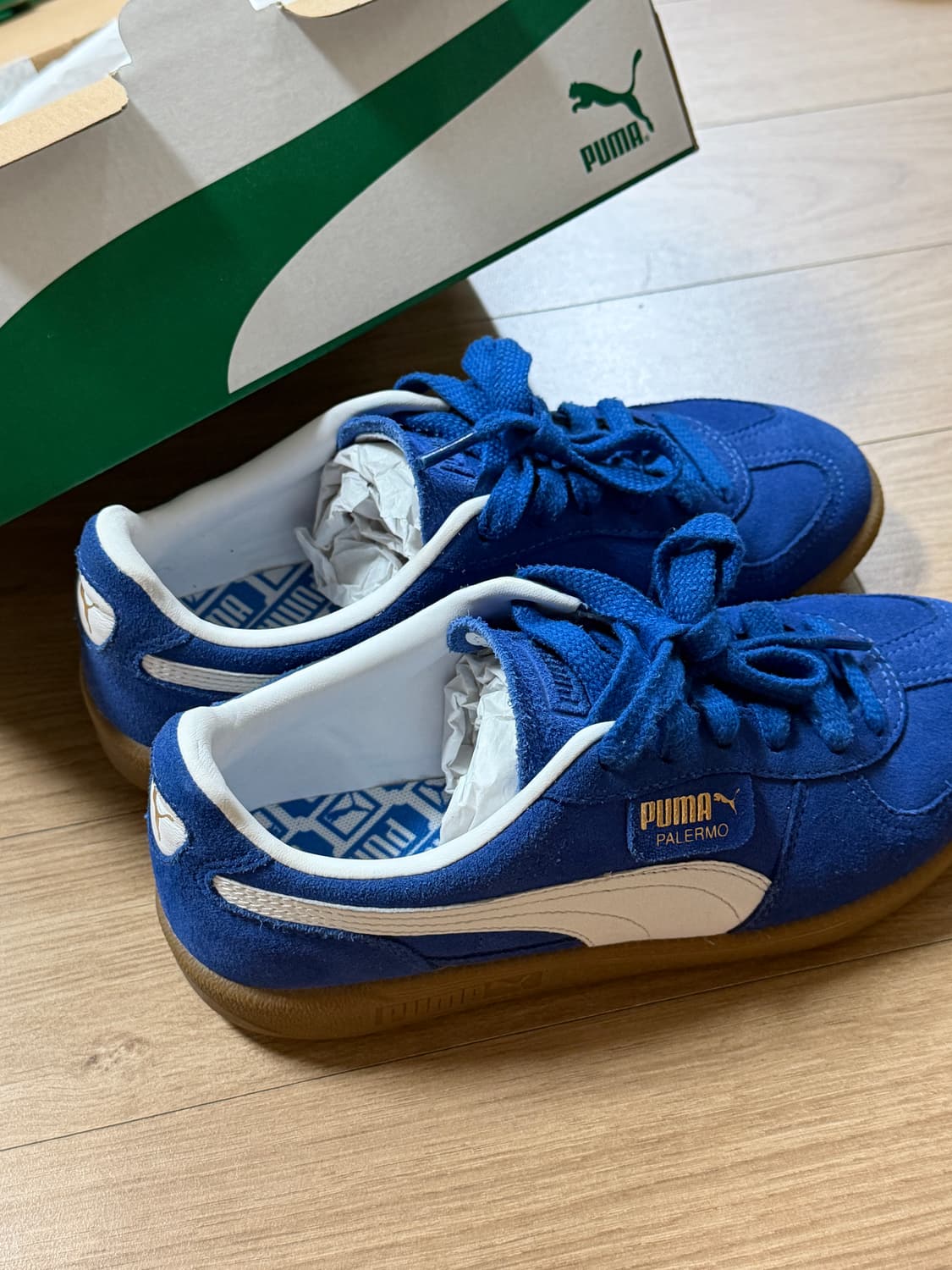 PUMA 푸마 팔레르모 코발트 235 상품이미지2