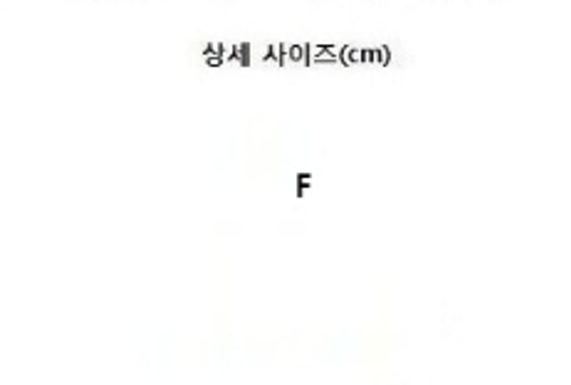 DANTON 단톤 상품이미지7