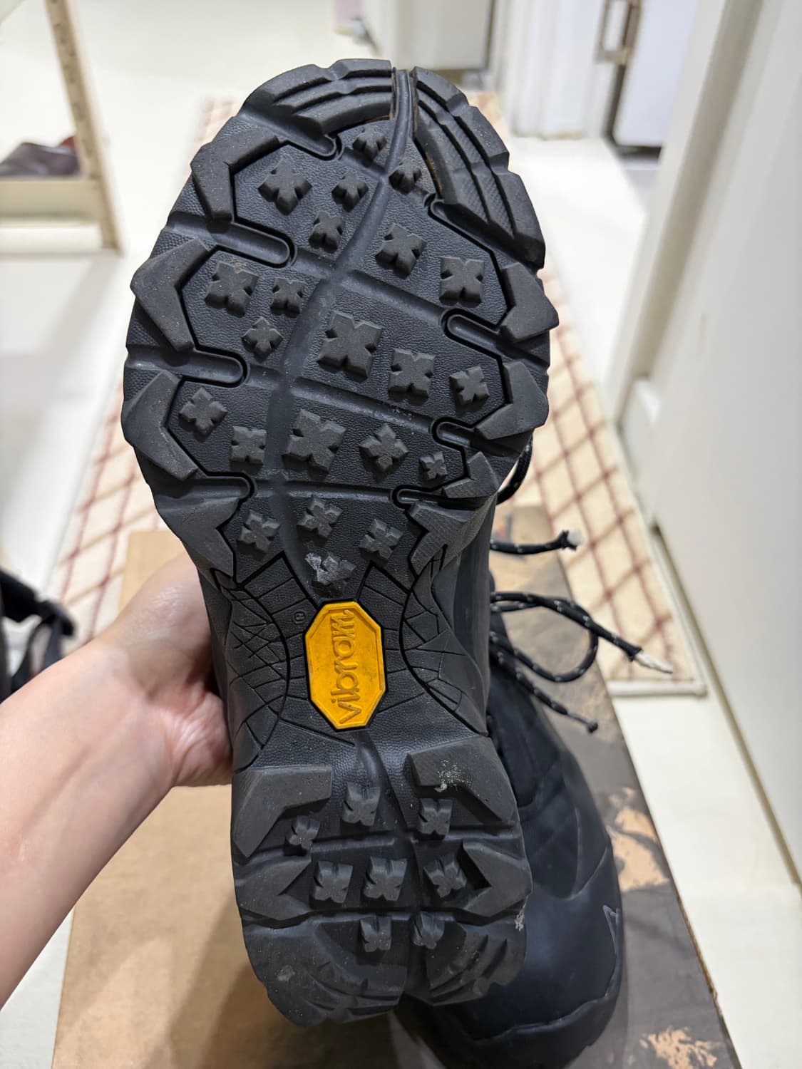 로아 카타리나 38 상품이미지3