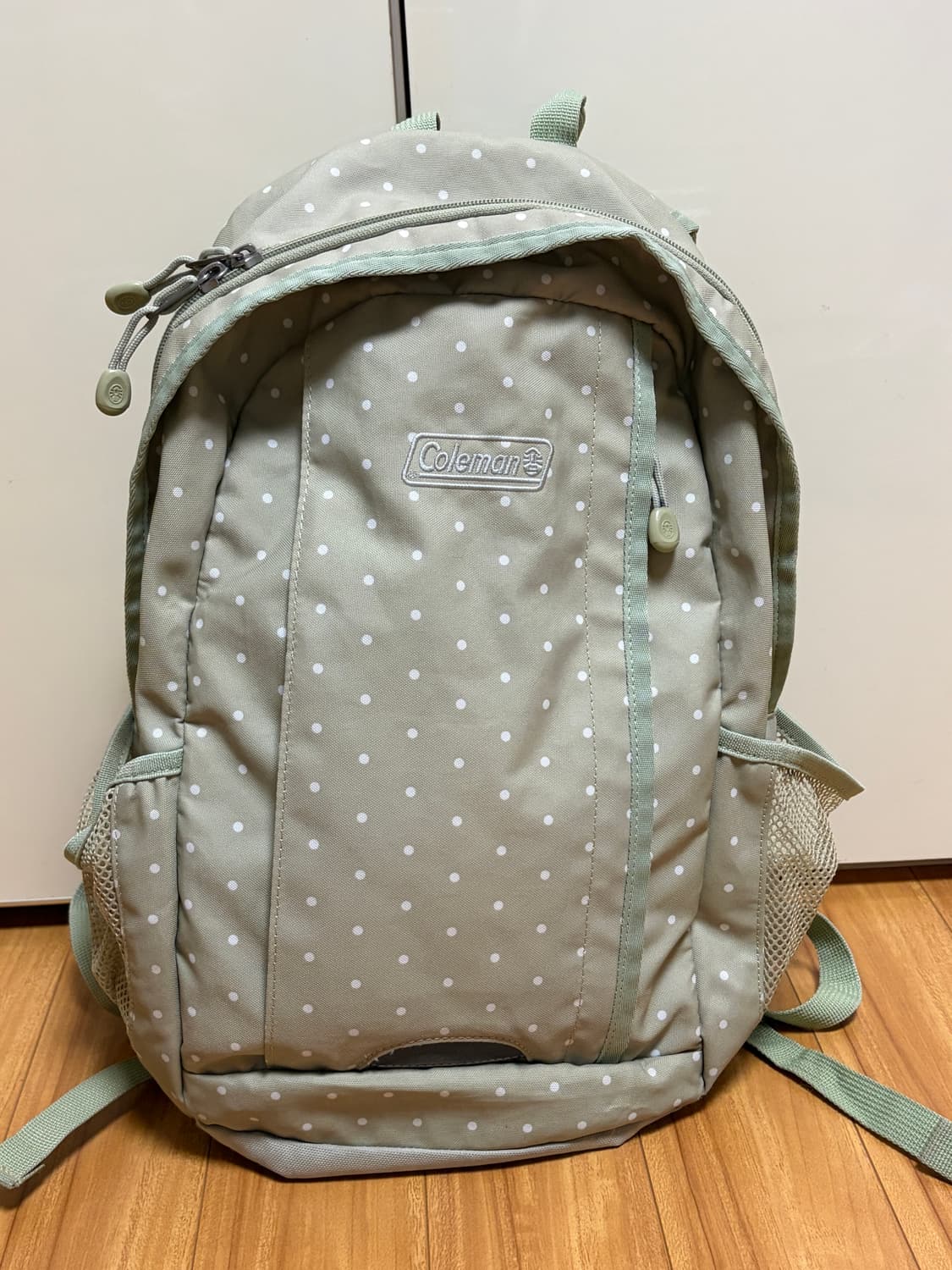 콜맨 빈티지 연두색 메론색 말차색 도트 백팩 희귀 상품이미지1